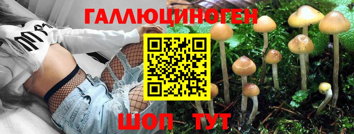 Галлюциногенные грибы GOLDEN TEACHER Вятские Поляны